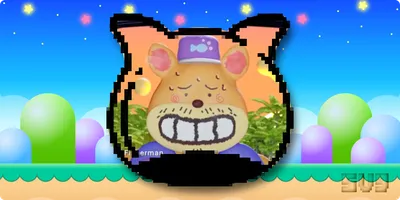 🕹️ Characters and Cabbage