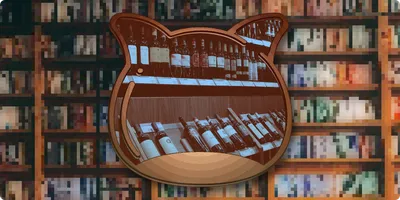 🍾 Bottleneck by Steven Kay