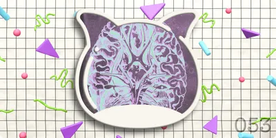 🎉 Weekend Edition Vol.053