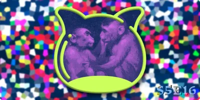 📺 The Media Guide S5E16