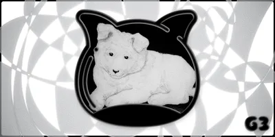 🐛 Grub in a World of Nonsense #3