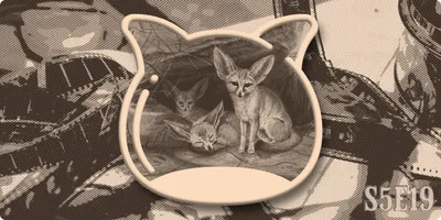 📺 The Media Guide S5E19