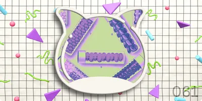 🎉 Weekend Edition Vol.061