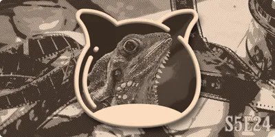 📺 The Media Guide S5E24