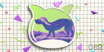 🎉 Weekend Edition Vol.069