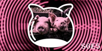 📺 The Media Guide S6E5