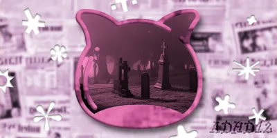 🔭 The American essay