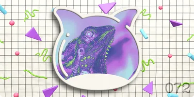 🎉 Weekend Edition Vol.072