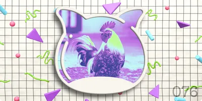 🎉 Weekend edition vol.076