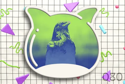 🎉 Weekend edition vol.080