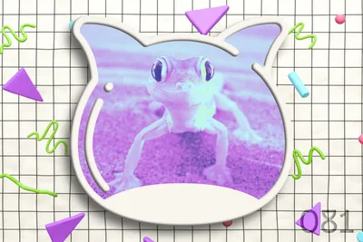 🎉 Weekend edition vol.081