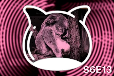 📺 The media guide S6E13