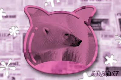 🔭 The white bear essay