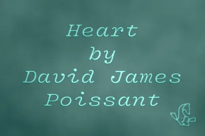 A review of “Heart” by David James Poissant, published in Cincinnati Review