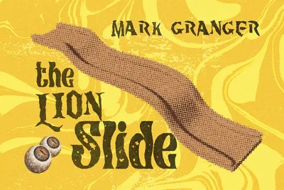 🛝 The Lion Slide