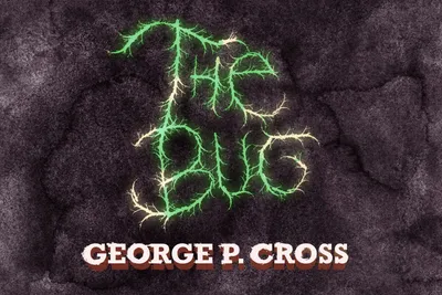 🪲 The Bug