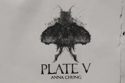 🪨 Plate V