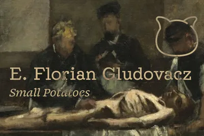 E. Florian Gludovacz