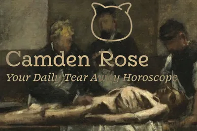 Camden Rose