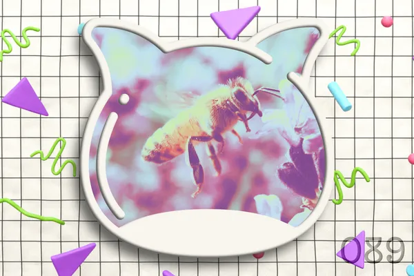 Weekend edition vol.089