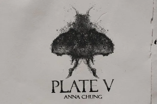 🪨 Plate V