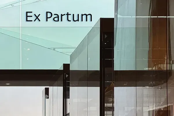 A review of “Ex Partum” by Emma Burnett