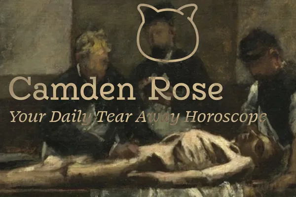 Camden Rose
